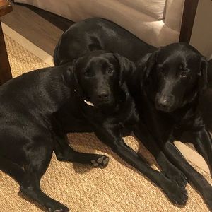 Meet your Posher, Mary kate